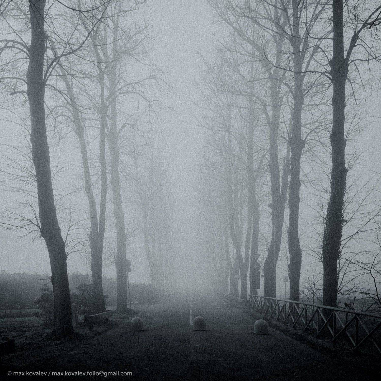 bw, fog, gauze, haze, monochrome, path, road, tree, дерево, дорога, дорожка, дымка, мгла, монохром, начало, туман, чб	    , Максим Ковалёв