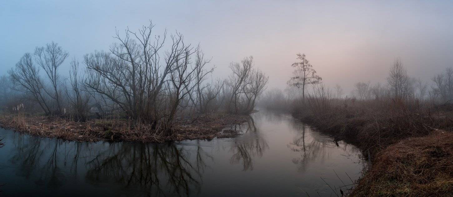 , Александр Бредихин