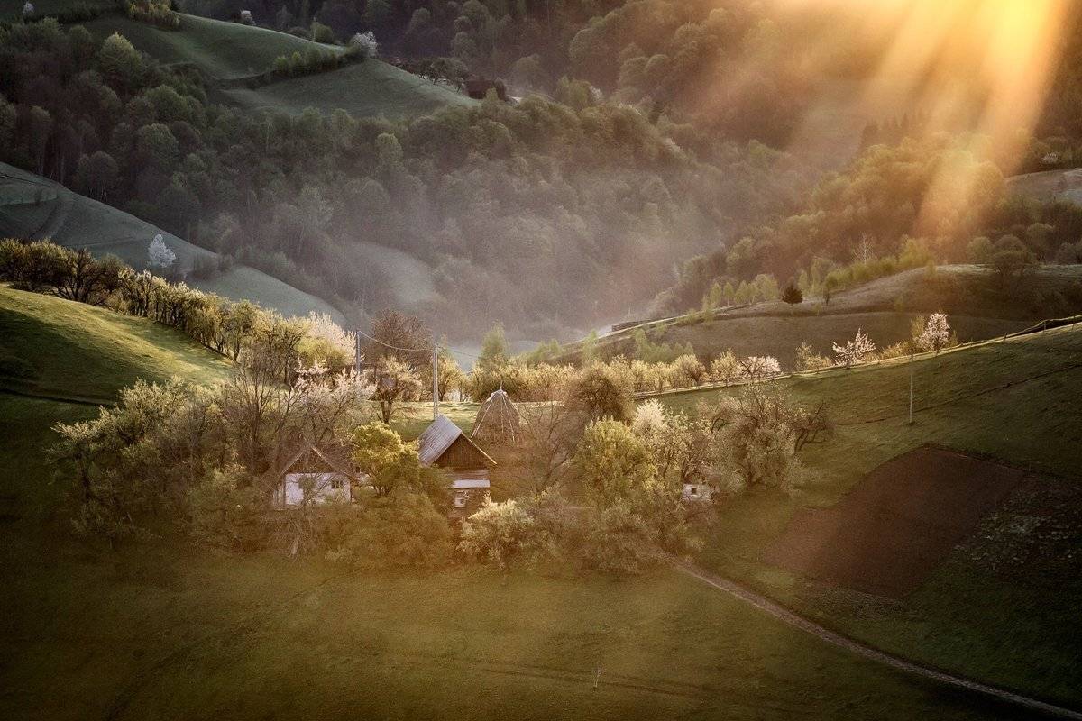 , Nicolae Fanurie Chirobocea