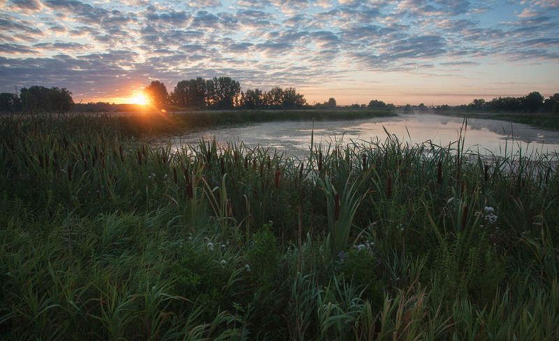 Утром на озере фото превью