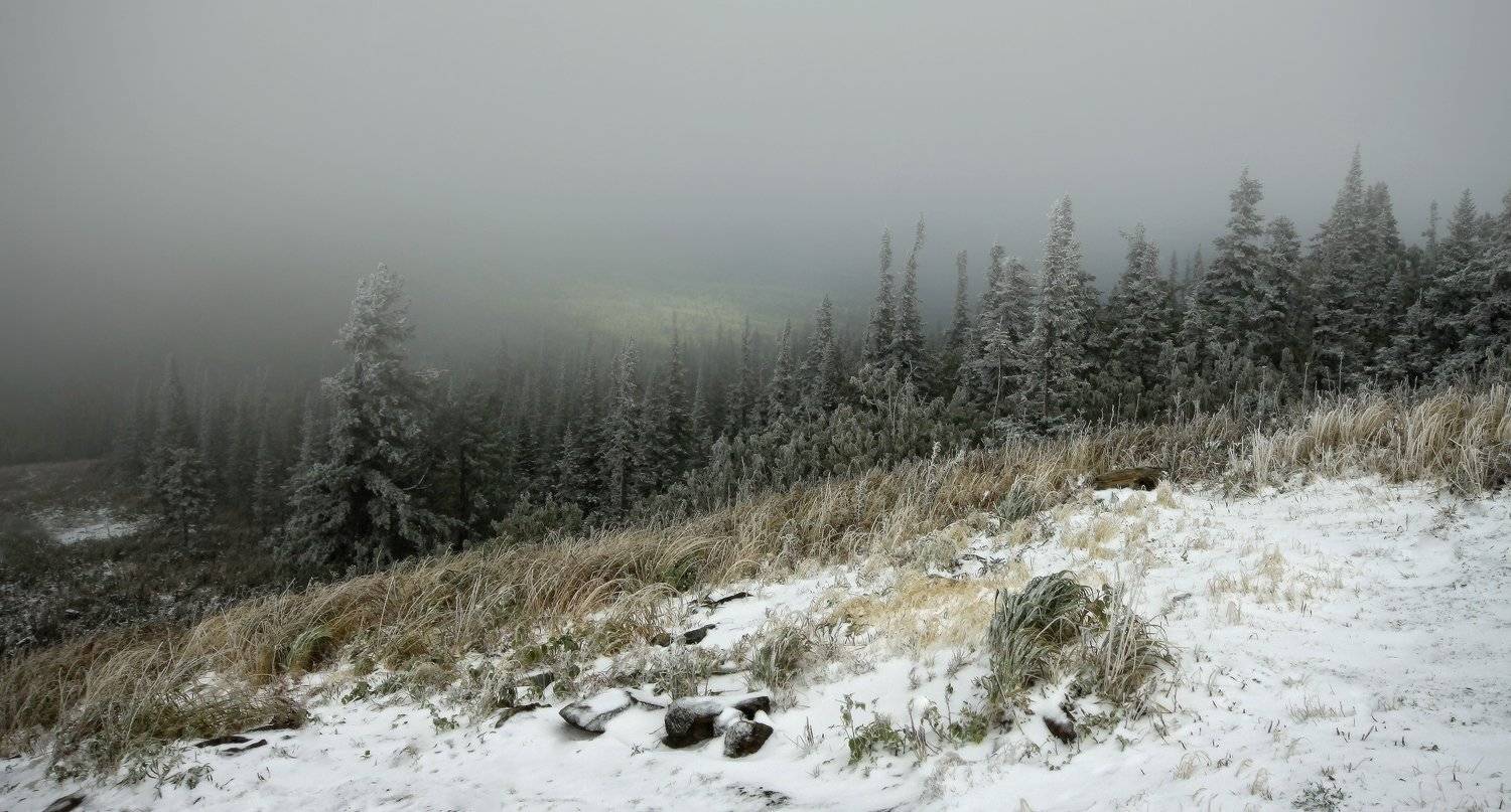 снег, метель, горная шория, Галина Хвостенко