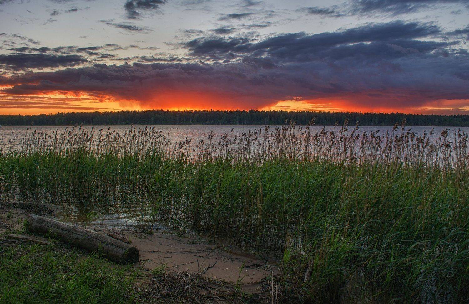 , Курдюков Михаил