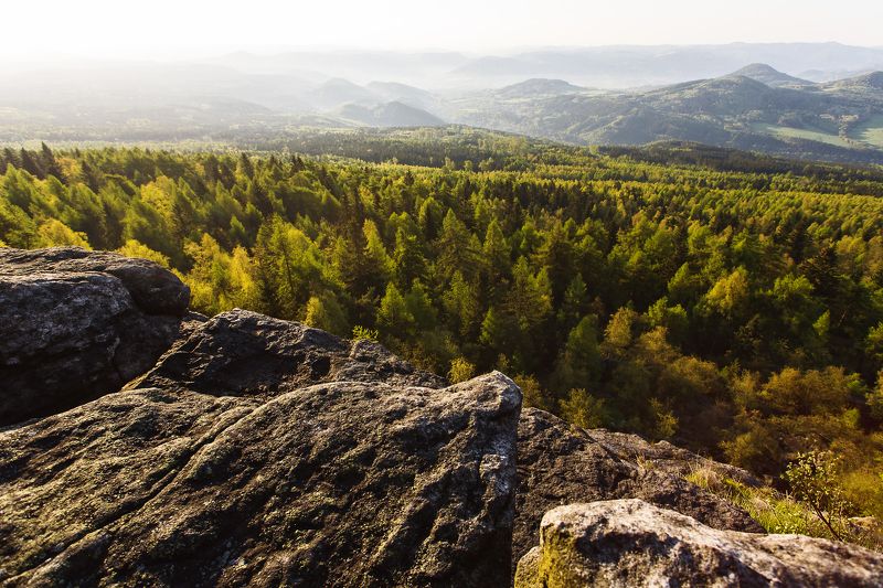 Morning in CZ фото превью