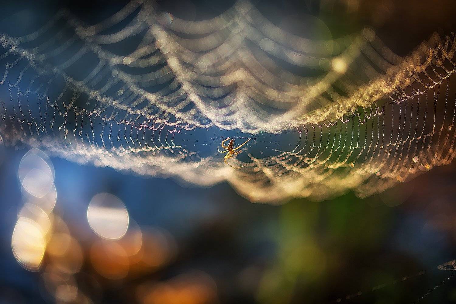 , Юлия Войнич