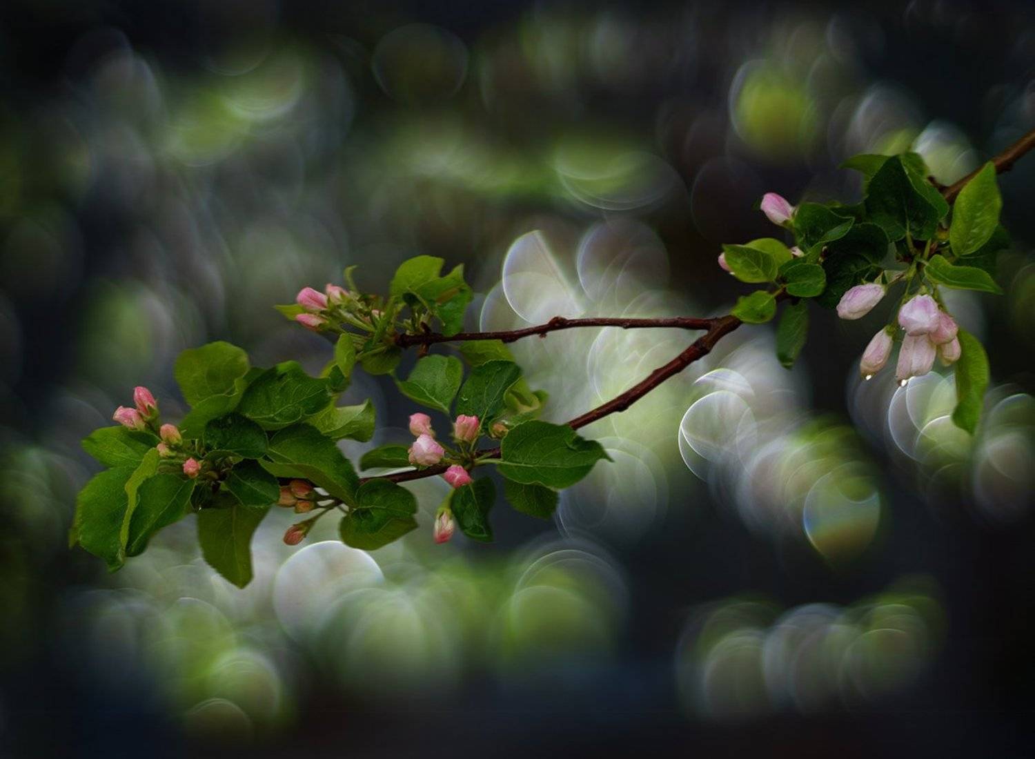 , Сергей Хромов