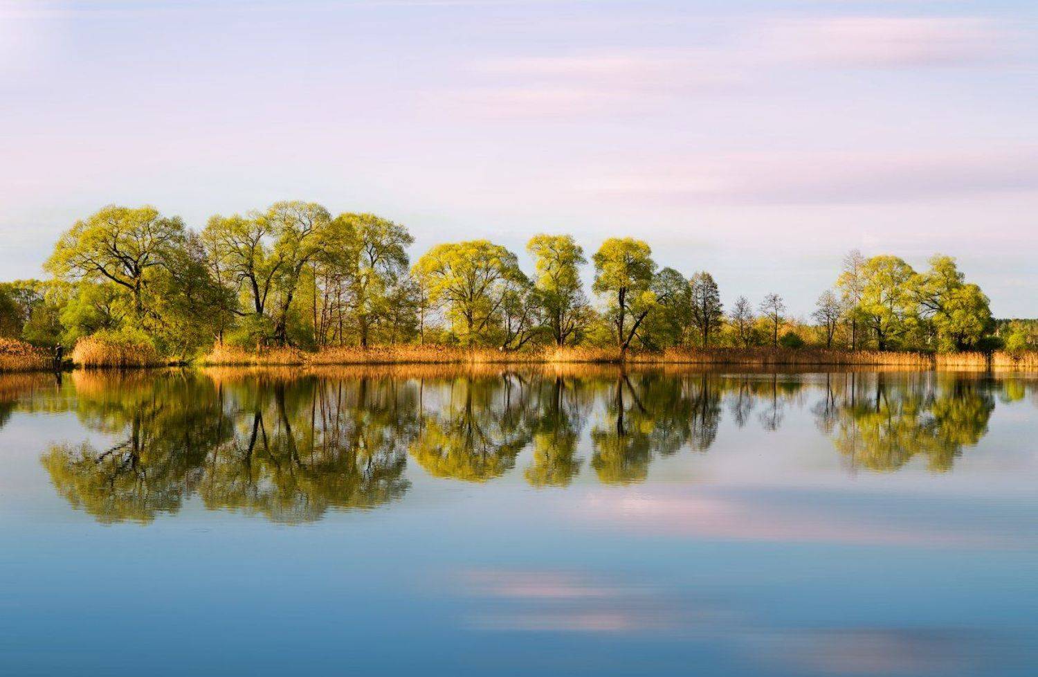 Весна, Вода, Май, Озеро, Отражение, Игорь Шиленок