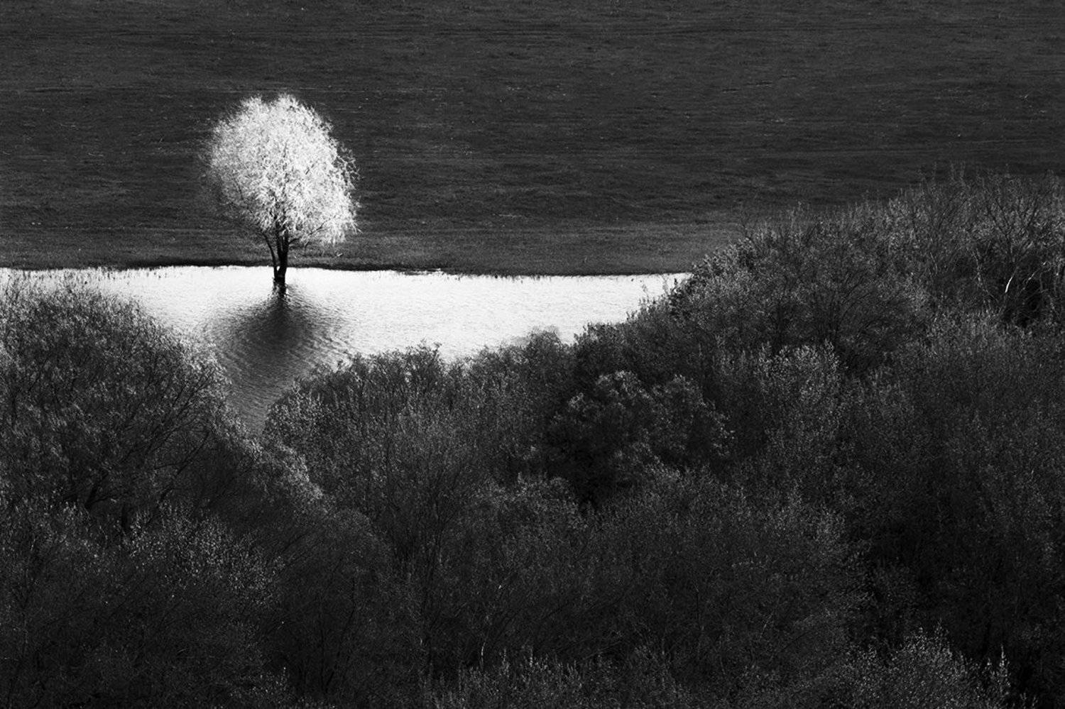 , Роман Рыжков