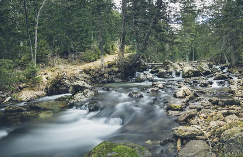 River  фото превью