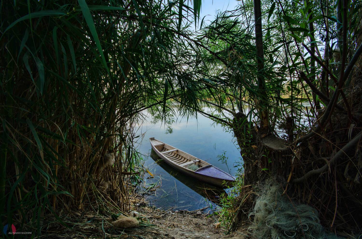 iraq , Ali Ali Sabih Kadhim