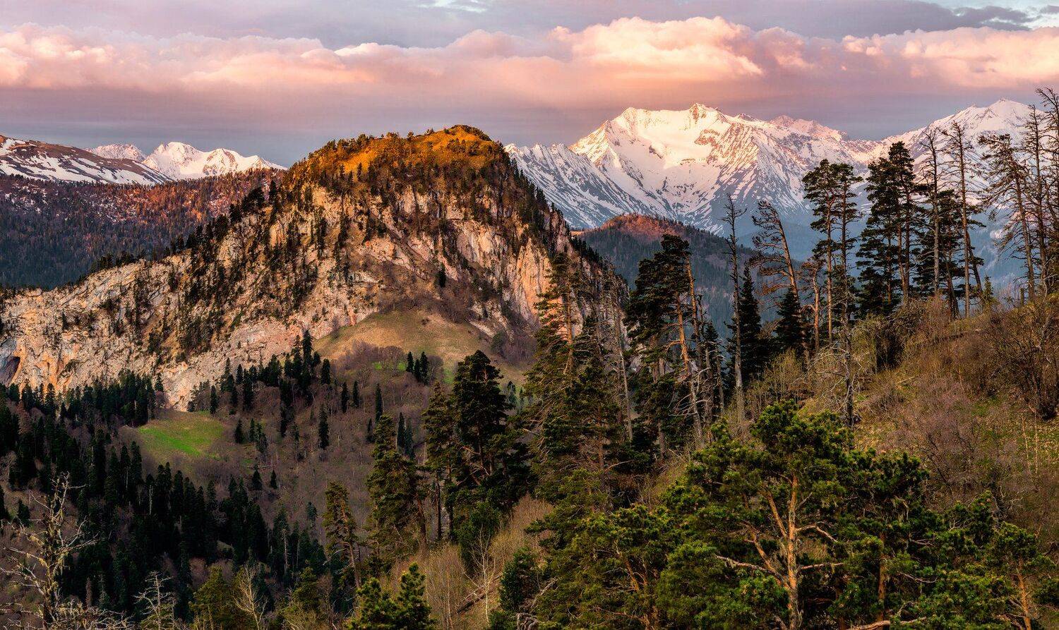 , Alexander Plekhanov