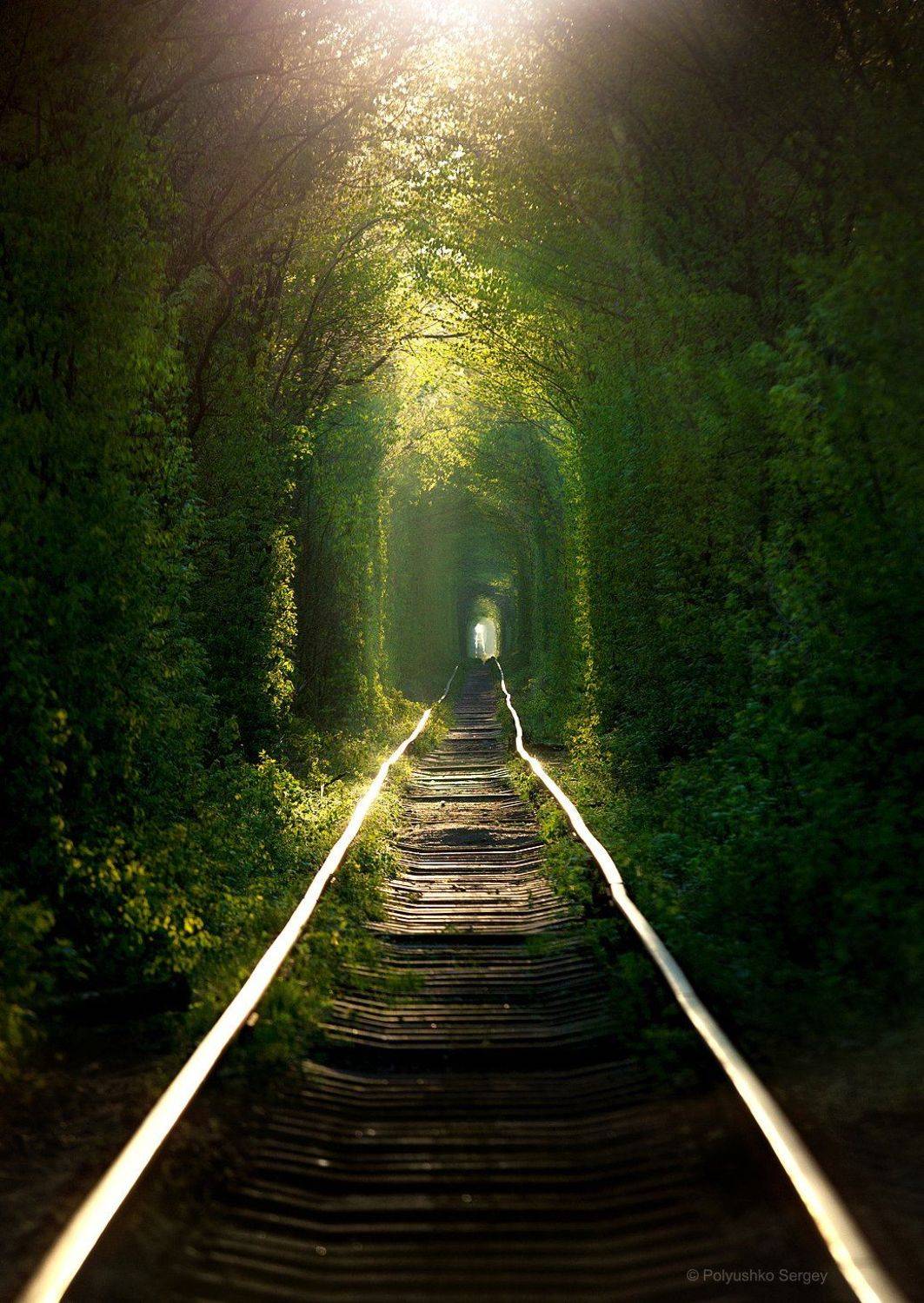 Весна, Клевань, Туннель, Украина, Полюшко Сергей