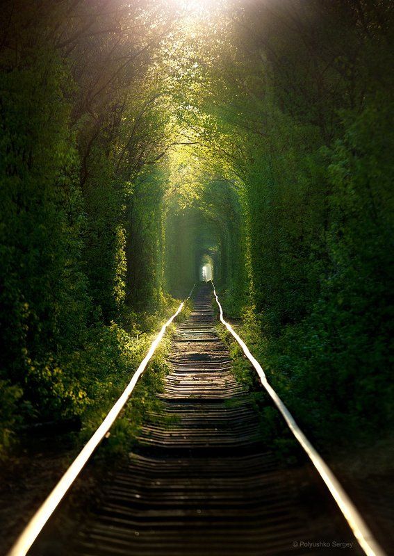 Весна, Клевань, Туннель, Украина Восход солнца в туннеле любви фото превью