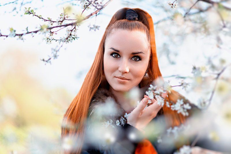 портрет, девушка, сакура, Сакура цветет фото превью