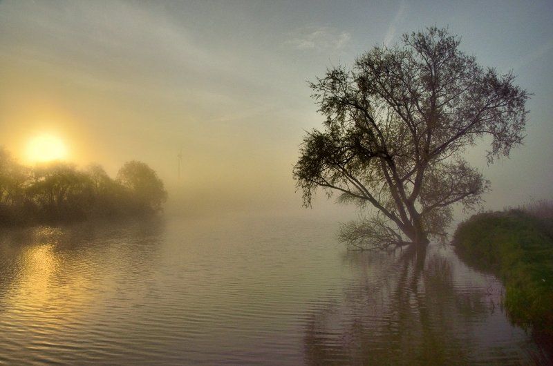 Morning on the lake. фото превью