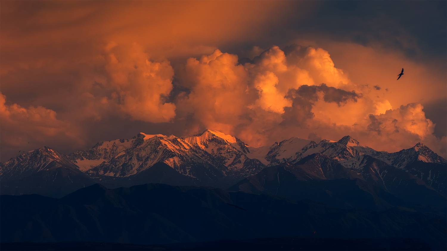 кыргызстан, Элина Магалимова