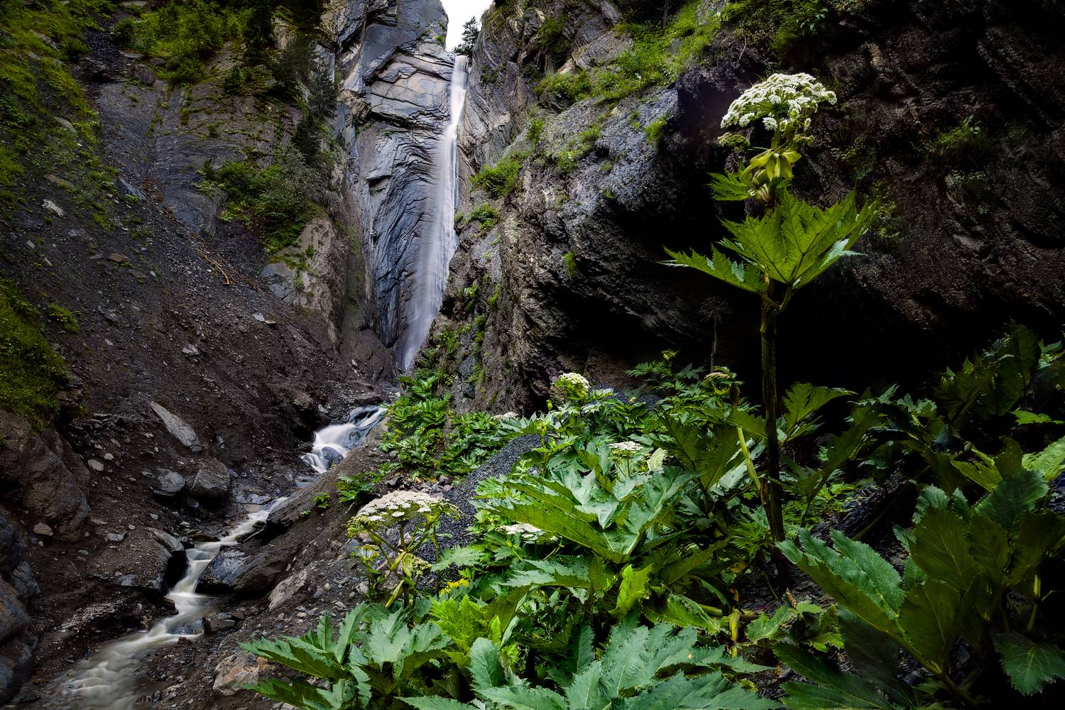 горы, Дагестан, Южный Дагестан, пейзаж, рассвет, водопад, панорама, растения, цветы, Влад Рябинин