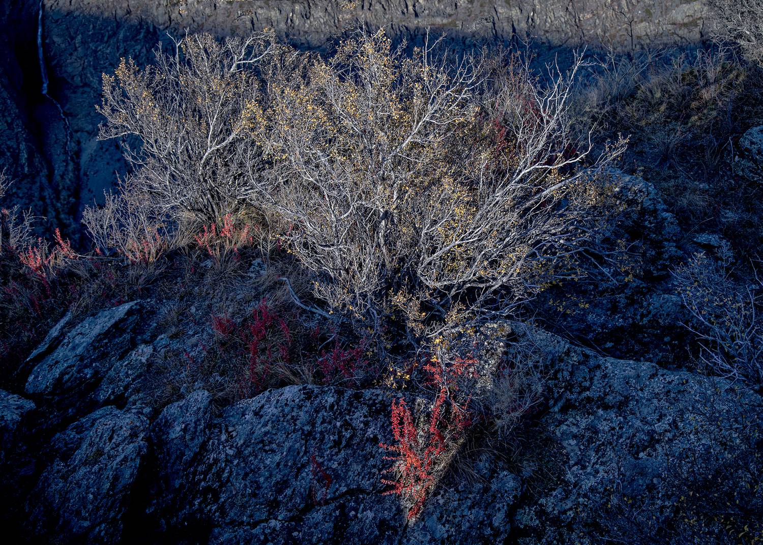 , Бирюков Вячеслав