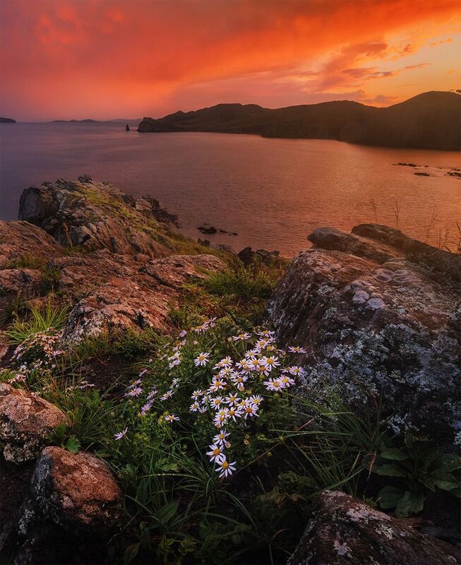 Приморье фото превью