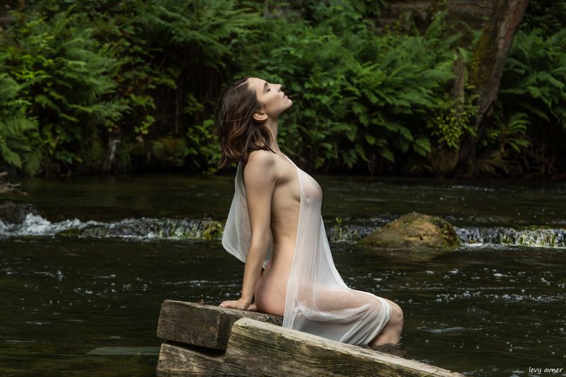 m фото превью