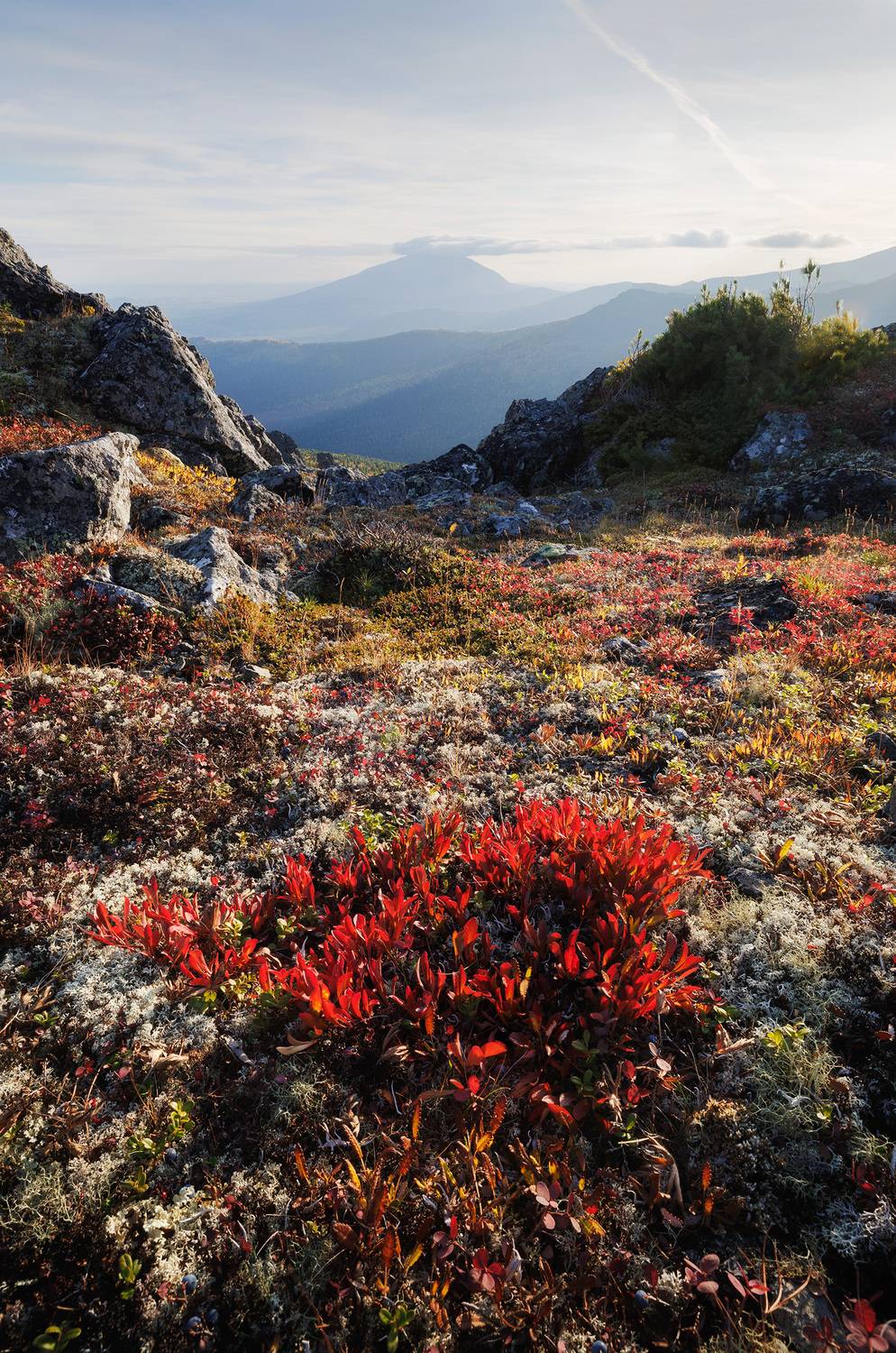 , Сергей Гарифуллин