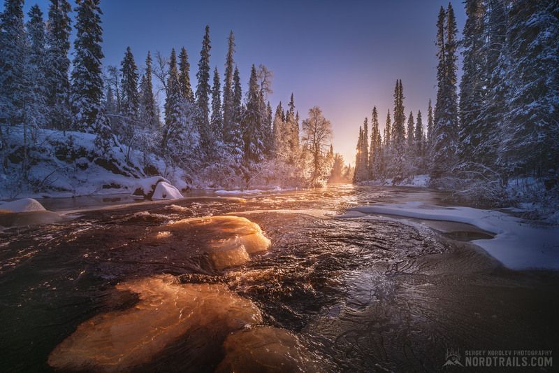 Кольский полуостов, Север, Мурманск, Хибины, Териберка, Кольский, Зима Рассвет в ноябре фото превью