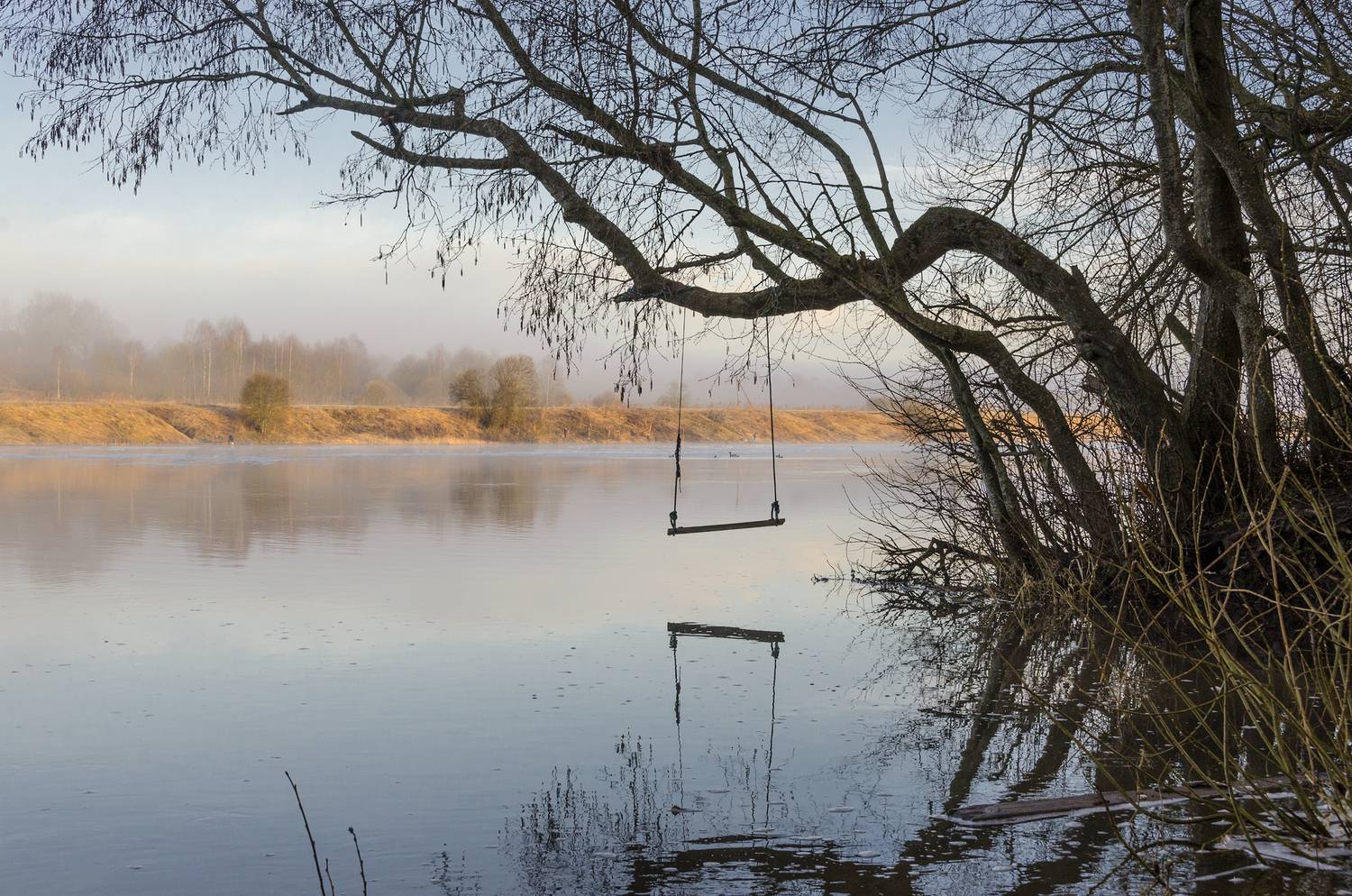 , Алексей Алешин