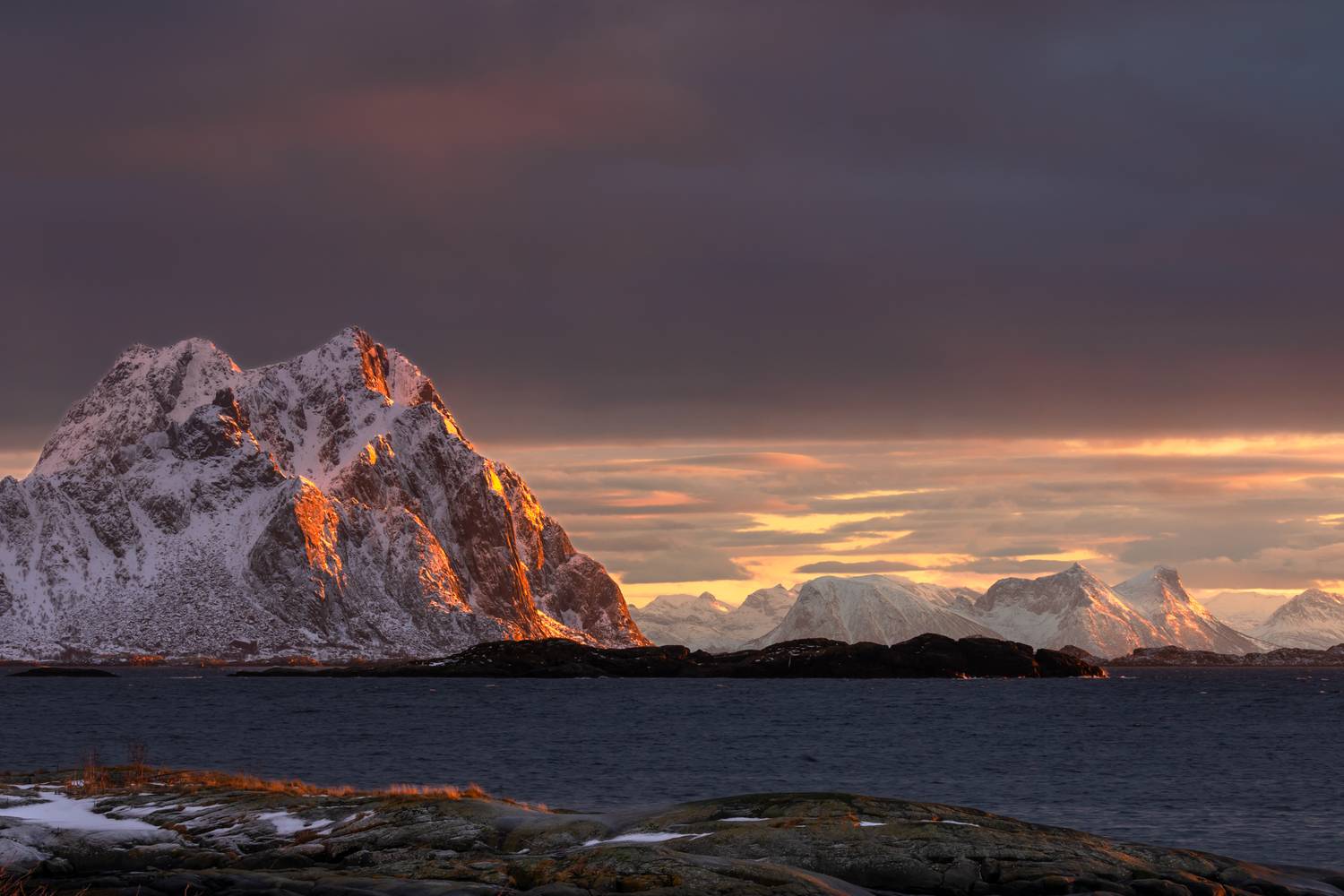 , Евгения Чех