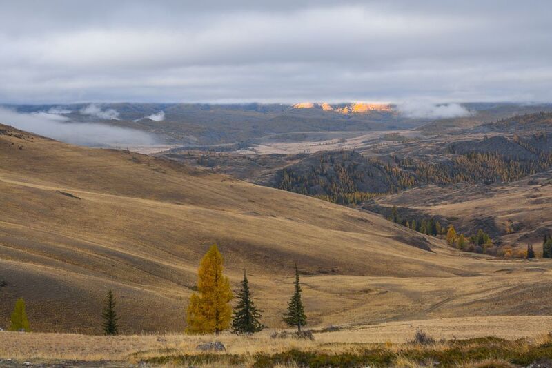 россия, горный алтай, осень, утро, рассвет Рассвет на холмах фото превью