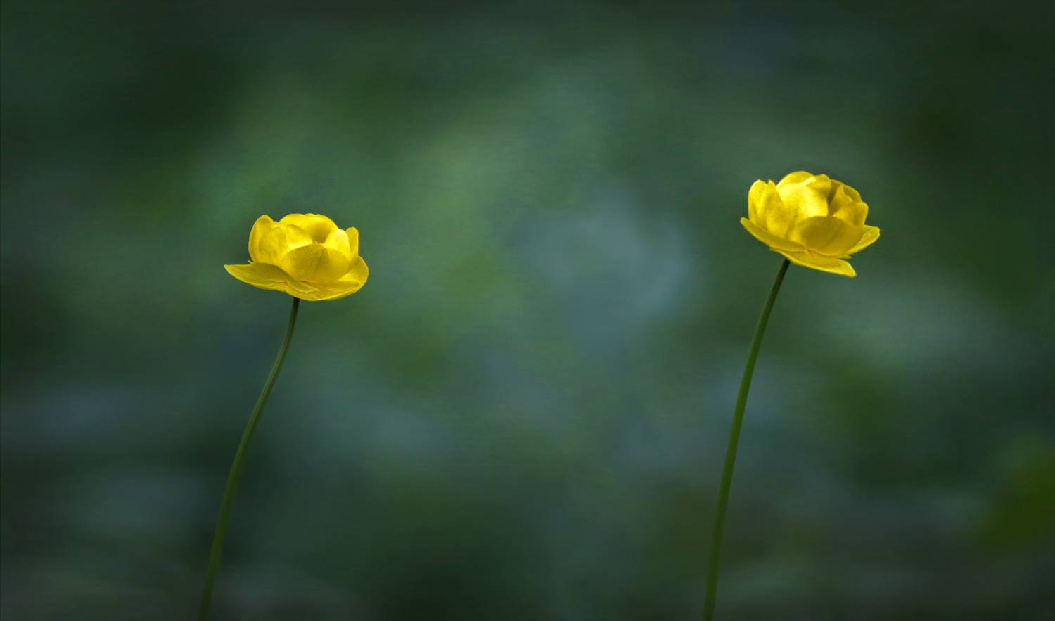 , Ушаков Валерий