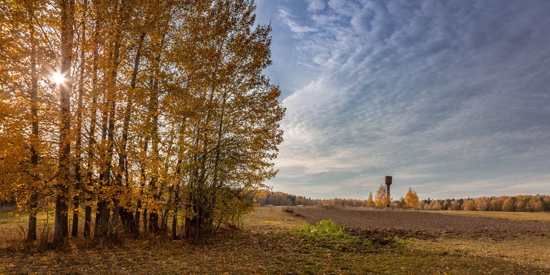Смоленская обл. д. Торбеево Осень... фото превью