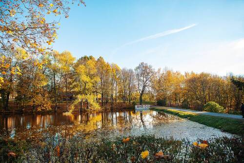 Большое Болдино (часть 3)