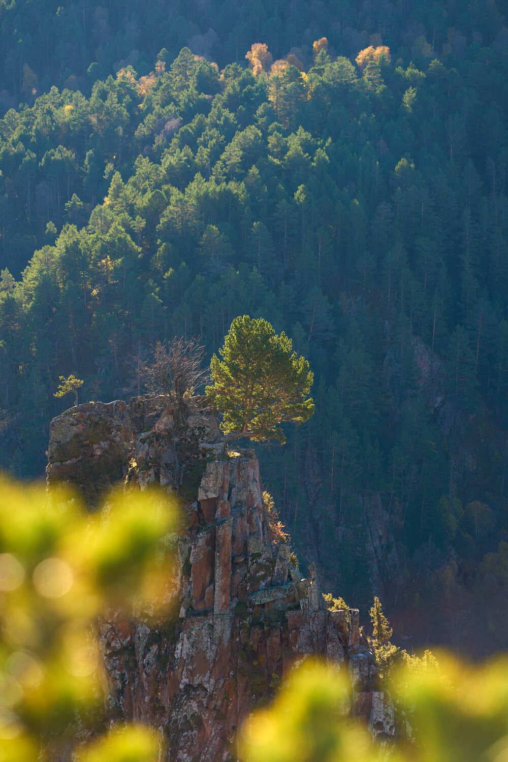 , Абдулаев Ян