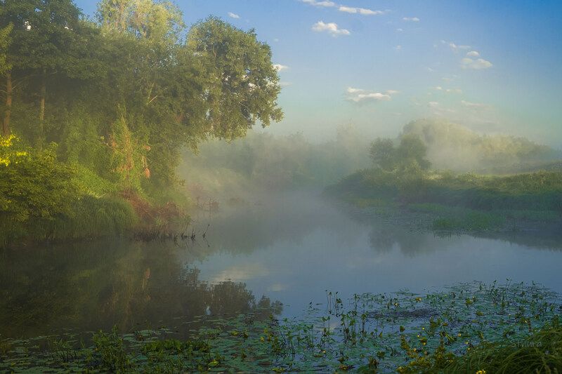 лето речка утро туман природа пейзеж Летнее утро. фото превью