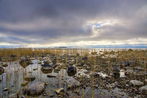 Начало ноября на берегу озера