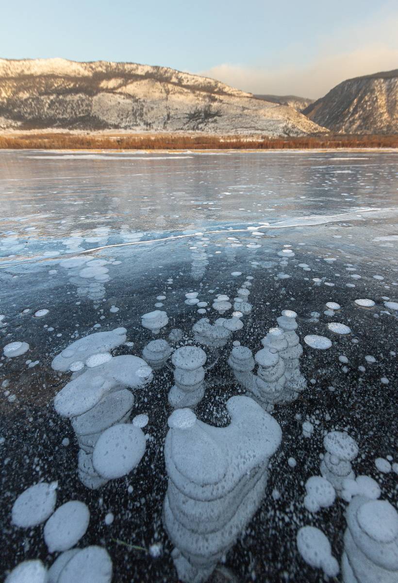 , Трофимов Алексей