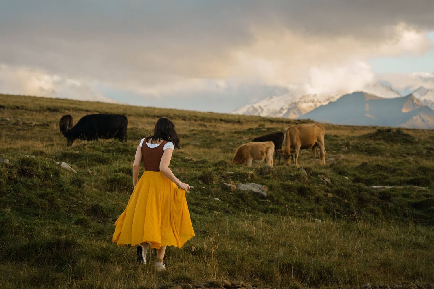 , Стеценко Александр