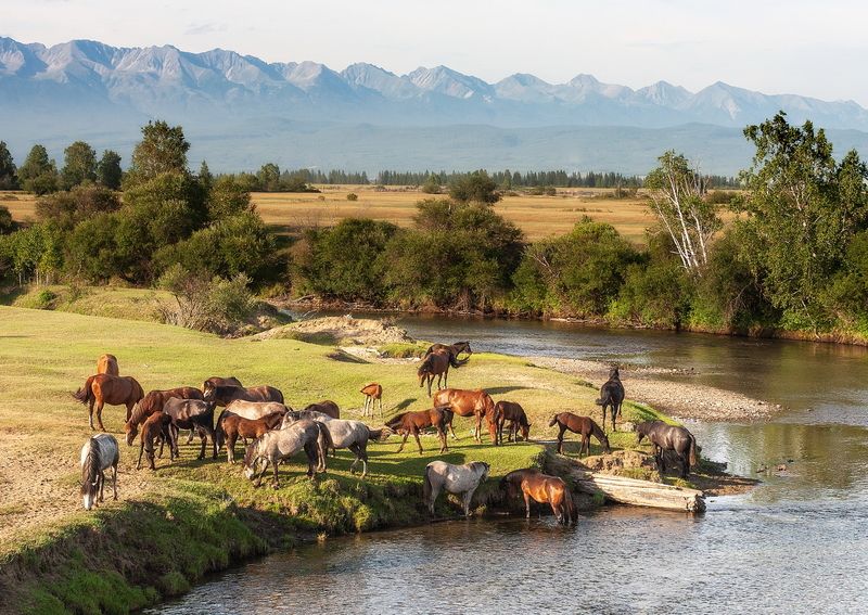 Харагун-гол фото превью