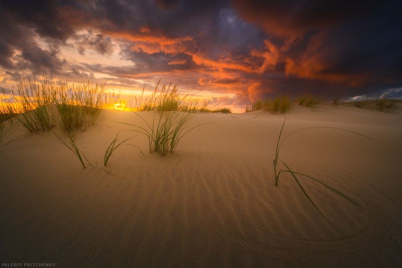 В дюнах фото превью