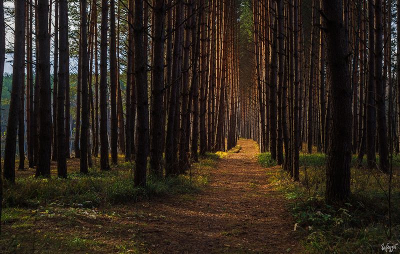 Поездка на озеро Штаны фото превью