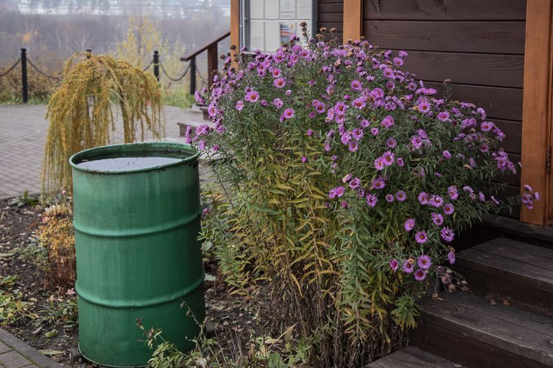 Осенние краски фото превью