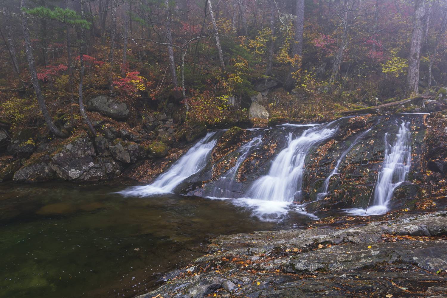 водопад, туман, тайга, Кузнецов Александр