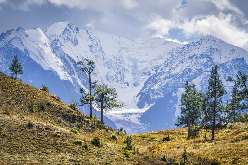 Вид на С-Чуйский хребет фото превью