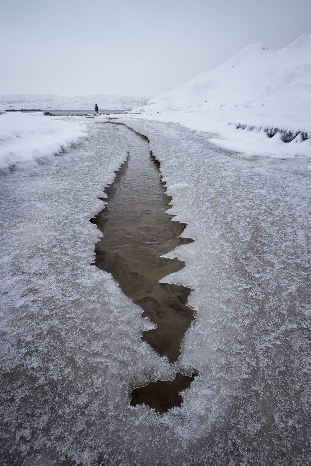 , Константин Маланин