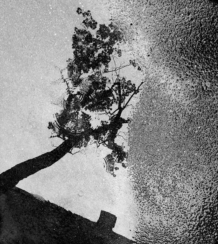 .  фото превью