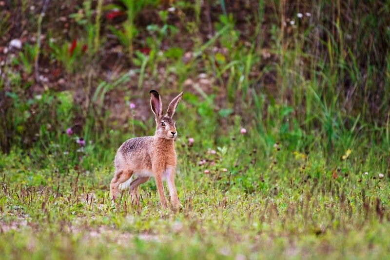 Ой, кажется меня заметили фото превью