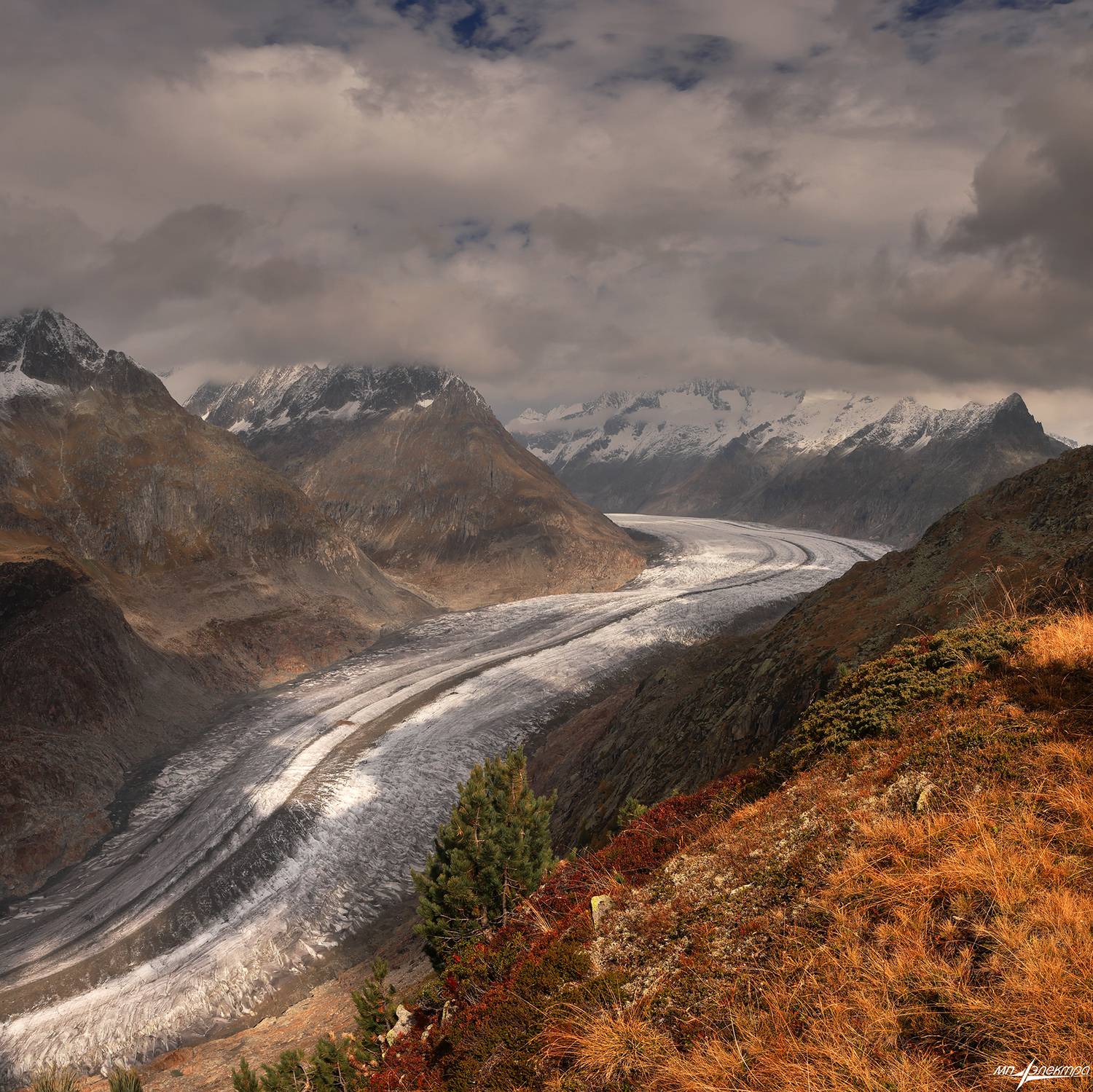 swiss, Матвеев Николай