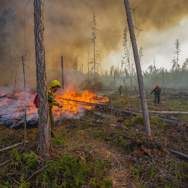 *** фото превью