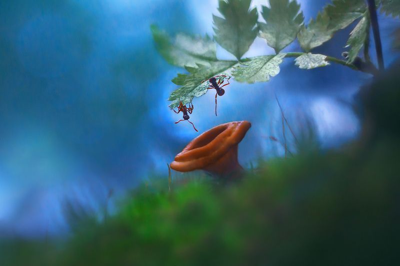 Это, сынок, десантники... фото превью