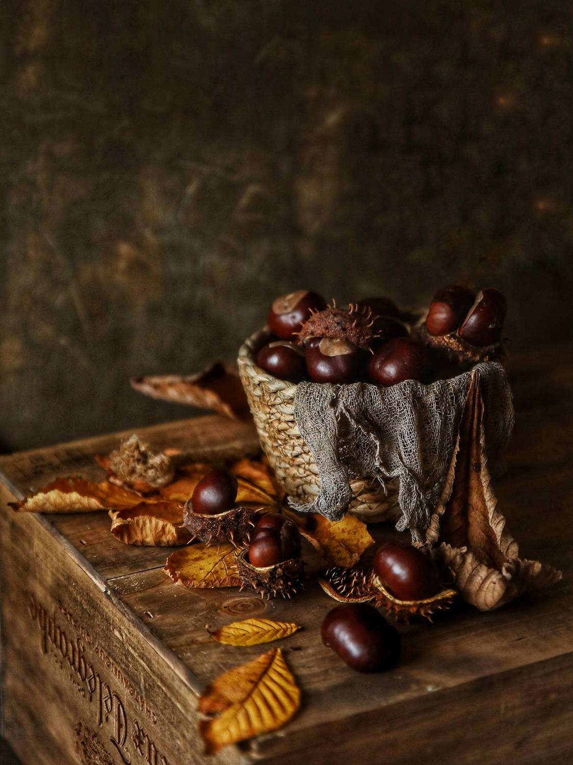 , Angelica Medvedeva