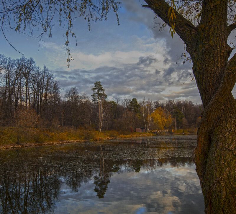 *** фото превью